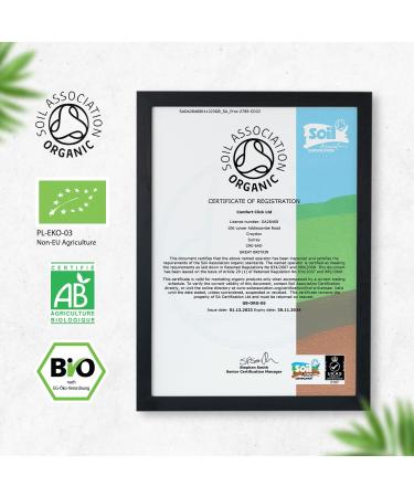 Organic Turmeric & Black Pepper Capsules 1520mg with Ginger - 180ct (3 Months Supply) - Soil Association Certified - Vegan & Non GMO - Buy Online on GoSupps.com