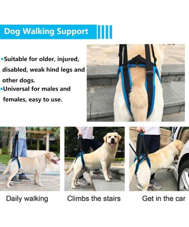 Mightyduty Portable Dog Hind Leg Support Harness | Help for Male & Female Dogs | International Shipping Available - Buy Online on GoSupps.com