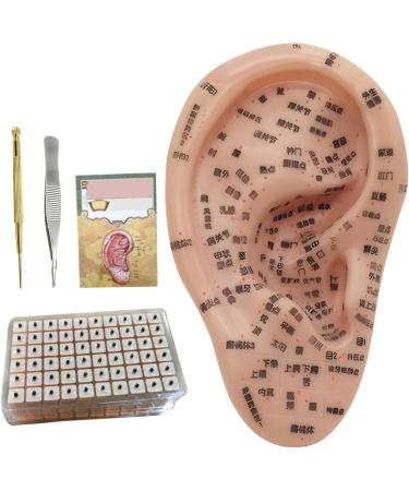 Ear Acupuncture Set - Needle & Ear Seeds for Weight Loss | Complete 7.5 Ear Model Plasters Tweezers & Guide Book - Buy Online on GoSupps.com