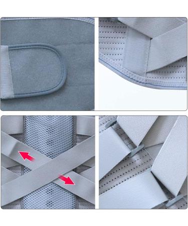 Back Support Belts | Relief from Back Pain Herniated Disc & Sciatica | Adjustable & Breathable Mesh | XXL Size Available - Buy Online on GoSupps.com