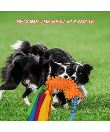 Tekcam 2 Pack Dog Tug Toys - Squeaky Agility Rope Toys for Small & Medium Dogs | Interactive Outdoor Fun - Buy Online on GoSupps.com