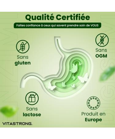  Vitastrong. Vitastrong Complete Digestive Enzymes with cloves patented DigeZyme blend maltodextrin alpha-amylase protease cellulase lipase lactase. Vegan tablets non-GMO gluten-free. - Buy Online on GoSupps.com