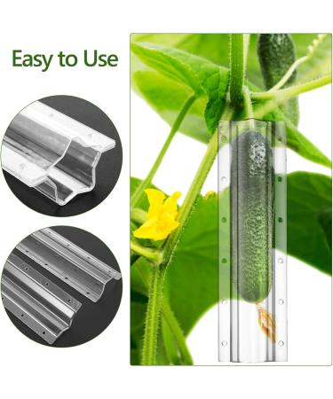 SUPVOX 4 pcs Shaping Mould Moulds Growing Molds Cucumber Growth Fruits Flower Styling Fruit Tool Shapers - Buy Online on GoSupps.com