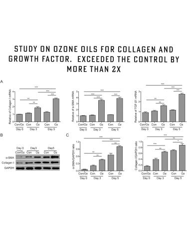 Organic Ozonated Olive Oil Capsules - 120 Count | 2 Month Supply - Buy Online on GoSupps.com