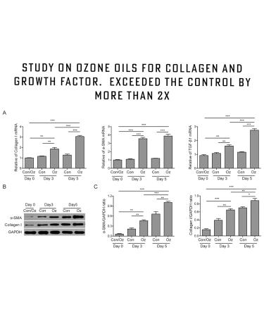 Buy Pure Organic Ozonated Olive Oil Extra Strength 1200 - Acne Anti-Aging Rosacea Treatment for Sensitive Skin - Made in Spain - Buy Online on GoSupps.com