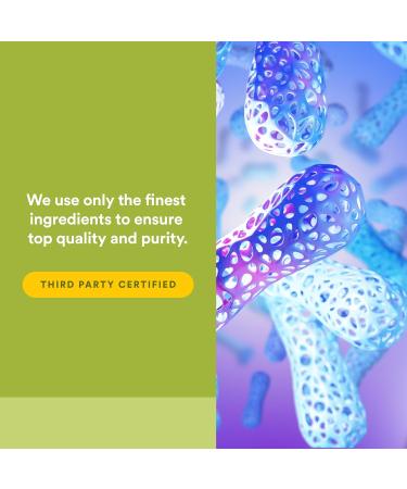 Natural Factors Whole Earth & Sea, Whole Food Synbiotic Pre + Probiotic, Fermented Digestive Enzymes, 60 Vegetarian Capsules - Buy Online on GoSupps.com