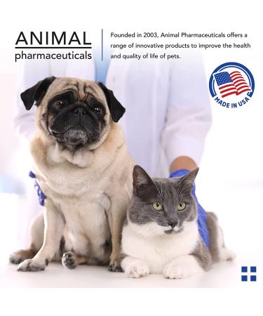 Animal Pharmaceuticals Catalyst+ Omega 3 Fish Oil Soft Chews for Dogs & Cats - Allergy & Shedding Supplement - 60ct - Buy Online on GoSupps.com