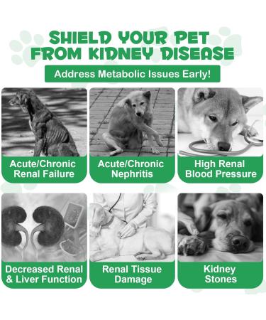 Kidney Support Drops for Dogs and Cats 60ml for Healthy Kidney Function in Cats and Dogs Natural Herbal Supplements Increase Immunity (Dogs) - Buy Online on GoSupps.com
