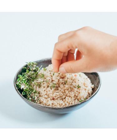 AHO Organic Sprouted Rice 850g - Whole Grain Brown Rice & GABA Rice | Healthy Superfood - Buy Online on GoSupps.com