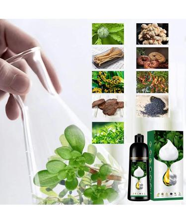 Nbzsmlkn Plant Based Bubble Hair Dye Long Lasting Plant Based Foam Hair Dye Pure Plant Extract 500ml Hair Color Cream Mild Formula Natural Plant For Gray Hair Coverage Black Brown - Buy Online on GoSupps.com