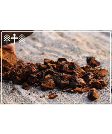  SIGMATIC-CHAGA Siberian Superfood Slow Drying Chaga Mushroom Small Parts GMP ISO-9001 100g - Buy Online on GoSupps.com