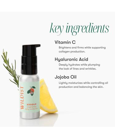 Daily Face Moisturizer Lotion with Vitamin C & Hyaluronic Acid - Vegan & Cruelty-Free | Hydrating Skincare for All Skin Types 2 Fl Oz - Buy Online on GoSupps.com