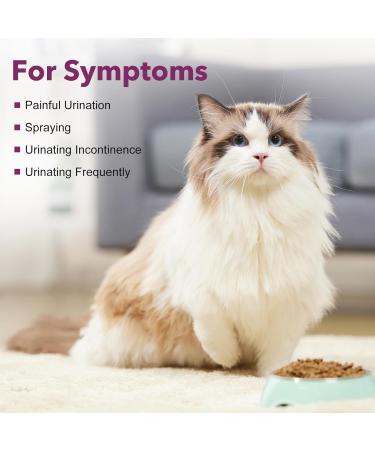UT AID Plus for Cats & Dogs - Feline Idiopathic Cystitis & Urinary Tract Infection Support Bladder Health Incontinence Relief - 30 Capsules - Buy Online on GoSupps.com