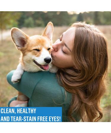 Dog Eye Wipes 120 Count - Gentle Dog Eye Cleaner Wipes Tear Stain Remover for White Dogs - Pet Eye Cleaning Wipes for Dogs Cats Puppy - Dog Eye Wipes for Discharge and Crust - Buy Online on GoSupps.com