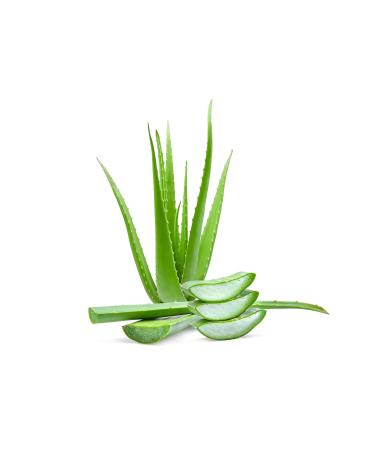 Fitne Base Body Lotion 200ml Almond Oil Apricot Kernel Oil Shea Butter Aloe Vera Extract | Balance Your Skin Naturally - Buy Online on GoSupps.com