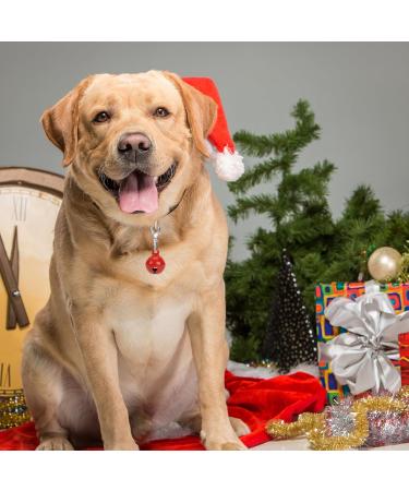 Kalione 10-Piece Cat & Dog Bells Set | Premium Metal Collar Bells for Pets | Perfect for Christmas Decoration - Buy Online on GoSupps.com