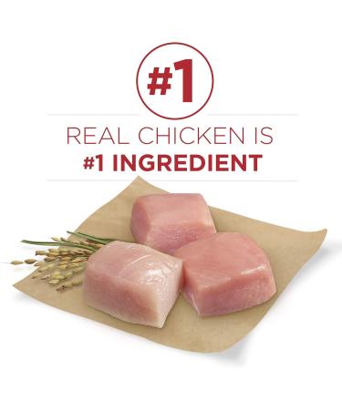 Purina ONE Smartblend Natural Dry Dog Food Chicken & Rice 7 kg + Lamb & Rice 7 kg Dry Dog Food + Dog Food 7 kg Chicken & Rice 7 kg (Pack of 1) - Buy Online on GoSupps.com