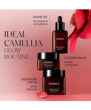 FEMMUE Ideal Camellia Signature Cream (1.58 oz) | Face Moisturizer With Camellia Seed Oil to Nourish Dry Damaged Skin | Korean Skincare Ideal Camellia_2 - Buy Online on GoSupps.com