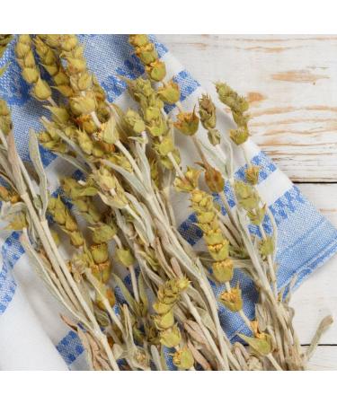 Olive Spa Revitalizing Skin Cream for Men 75 ml - Buy Online on GoSupps.com