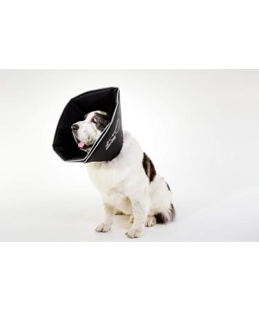All Four Paws Comfy Cone Pet Collar - XX Large Black | Comfortable Recovery & Protection for Dogs - Buy Online on GoSupps.com