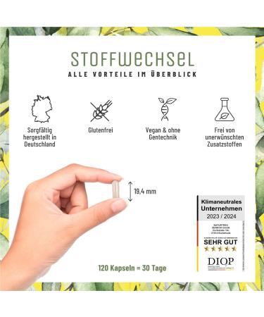 Metabolism Capsules Diet Support - High-Dose Vegan 120 Count with Green Tea Forskolin Choline & Garcinia Cambogia - Natural Loyal - Buy Online on GoSupps.com