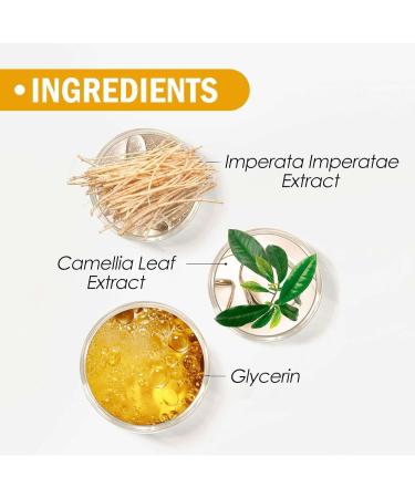 (100% Effective) 5PCS Mineral Powder Foundation Sunscreen | SPF 50 Loose Powder Sunscreen Setting Powder | Mineral Brush Powder | Oil Control Natural Matte Finish Powder Sunscreen For Face Makeup | 8g/0.28fl.oz - Buy Online on GoSupps.com