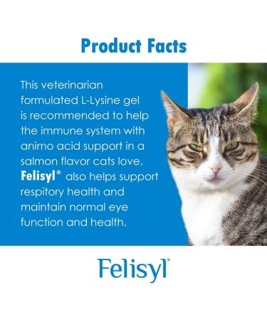 Felisyl L-Lysine Soft Chews for Cats - Immune System Support - Supplement Support for Healthy Tissue Respiratory and Vision - Chicken -Flavored - Made in The USA - 5 oz (1 Pack Soft Chews (60 Ct.)) - Buy Online on GoSupps.com