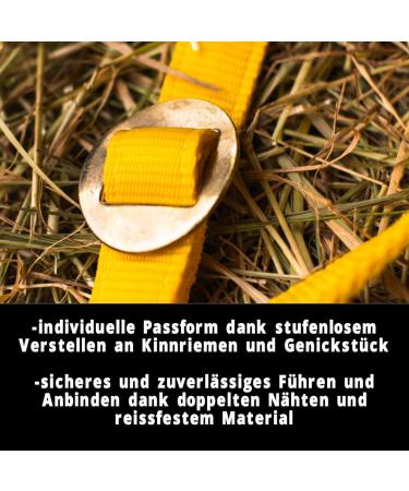 Adjustable Yellow Halter for Warmblood Thoroughbred & Cold Blood Horses | Safe Tearproof 2 Compartment Design for Stable & Pasture Use - Buy Online on GoSupps.com