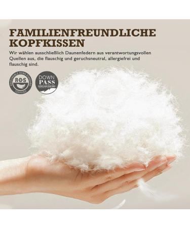 BPC Daunkissen 40x80 Set - Luxurious Spring Down Pillows with Organic Cotton Cover | Soft Sleeping Pillows (2 Pack) - Buy Online on GoSupps.com