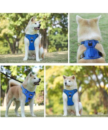 Eyin Adjustable Dog Harness for Small Dogs - Breathable Reflective Padded with Handle - Ideal for Daily Training (Light Blue Size S) - Buy Online on GoSupps.com