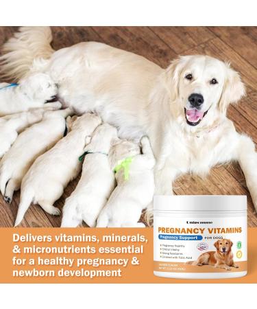 Dog Prenatal Vitamins - Prenatal Vitamins for Dogs Support The Development of Pregnancy Healthy Newborns Vitality Promote Milk Production Enriched with Folic Acid Iron Zinc Iodine - Buy Online on GoSupps.com