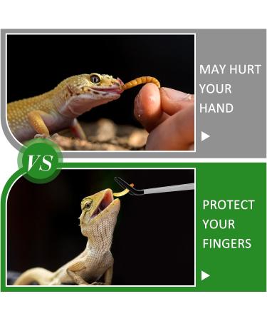 Ziliny 2 Pcs Reptile Feeding Tongs Stainless Steel Long Handle Tweezers Straight and Bent Rubber Tipped Tweezers with 2 Pcs Reptile Food Dish Bowl Terrarium Feeder Tools for Gecko Snake (10'' 10.5'') - Buy Online on GoSupps.com