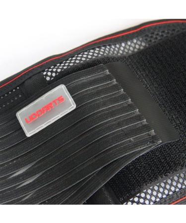 TIIFFY Lumbar Support with Removable Pads & Steel Rails - Size L | Best Back Support for Comfort & Posture - Shop Internationally - Buy Online on GoSupps.com