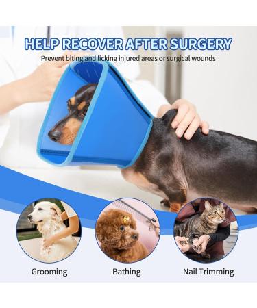 Buy XL Blue Neck Collar for Large Dogs | Post-Op Leak Protection Funnel - After Castration Recovery - Buy Online on GoSupps.com