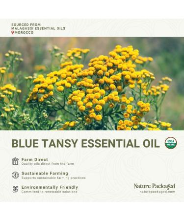 Organic Blue Tansy Essential Oil Direct from Malagassi Essential Oils - Ideal in Face Oil - Organic Blue Tansy for Candle Making and Soap Making (5 mL) Organic Blue Tansy 0.17 Fl Oz (Pack of 1) - Buy Online on GoSupps.com