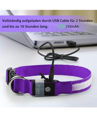 Bright Waterproof LED Dog Collar - Adjustable Luminous Neck Band for Small to Large Dogs | 7 Color Change Night Safety - Purple (38-50cm/15-19.7inch) 2022 - Buy Online on GoSupps.com