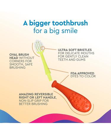 RADIUS Big Kidz Forever Brush Replacement Heads for Children  6 Years and Up  BPA Free ADA Accepted for Growing Teeth and Gums  2 Heads - Extra Soft Replacement Heads Coral  Blue  Chartruese  Mint  Lavendar  Tangerine - Buy Online on GoSupps.com