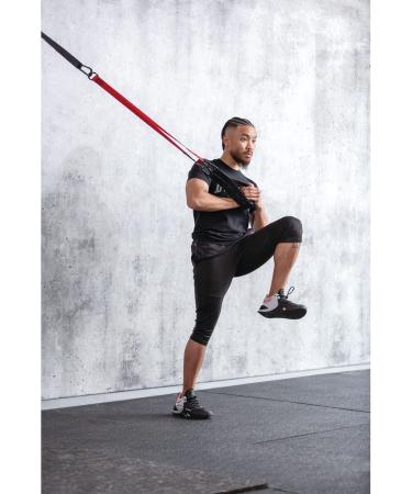 Everlast FIT Body Weight Suspension Trainer - Strength Training Fitness Tool Adjustable Easy Setup Carry Bag Included - Full-Body Workout Mobility & Flexibility Pilates Home Gym Accessories - Buy Online on GoSupps.com