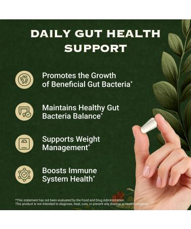 AdvantageNutra Akkermansia Muciniphila Probiotics and Prebiotics w/Lactobacillus Salivarius | Fiber Supplement Gut Health & Digestive Health | Women Probiotic Akkermansia Light (2) - Buy Online on GoSupps.com