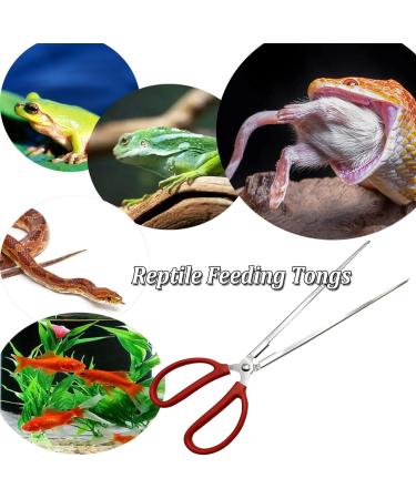 Evago Stainless Steel Reptile Feeding Tongs | 15 Straight Tweezers for Lizards Snakes & Aquatic Plants - Buy Online on GoSupps.com