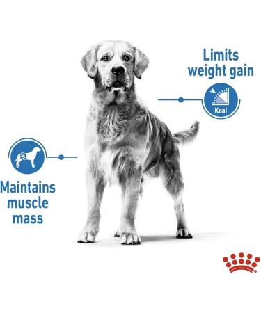 Royal Canin Medium Light Weight Care Adult Dry Dog Food 12kg Poultry 12 kg (Pack of 1) - Buy Online on GoSupps.com