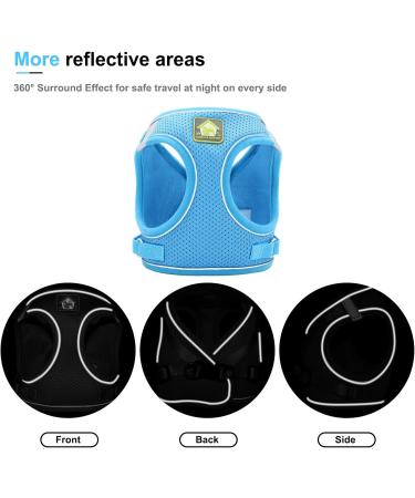 Neuwehe Cat Dishes & Leash Set | Adjustable Cat Harness for Small Dogs & Big Cats (L Blue) | Outbreak-Proof Cat Tableware - Buy Online on GoSupps.com