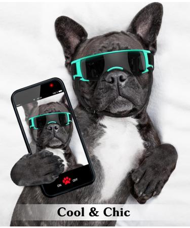 Lewondr Sunglasses for Dogs - UV Safety & Windproof Glasses with Adjustable Rubber Band | Waterproof Outdoor Dog Eyewear in Black & Blue - Buy Online on GoSupps.com