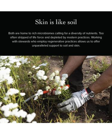 evanhealy Blood Orange HydroSoul | Organic Copper Distilled Citrus sinensis Fruit Hydrosol | Soften Smooth & Purify Oily Combination Dull & Devitalized Skin | Juicy Sweet Radiant - Buy Online on GoSupps.com