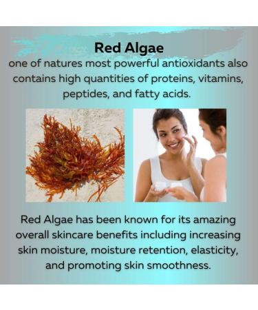 Delfanti-Milano Collagen Rejuvenating Night Cream with Black Pearl and Red Algae Gel - Made in Italy - Buy Online on GoSupps.com