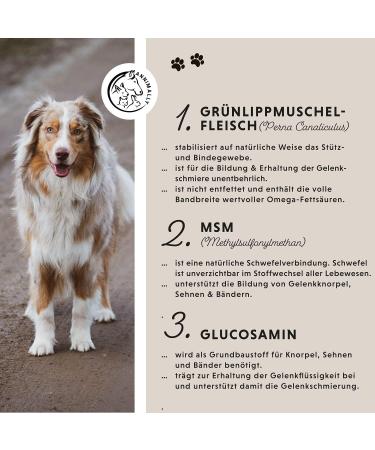 Journey Tablets for Dogs - MSM Green Lipped Mussel Devil's Claw & Glucosamine - 120 Joint Support Tablets - Easy to Administer for High Acceptance - Buy Online on GoSupps.com