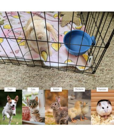 Heated Pet Bowl 600ml - Indoor/Outdoor Water Supply for Dogs, Cats, Birds, Chickens, Ducks, and Livestock - Buy Online on GoSupps.com