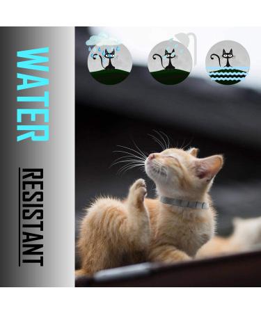 Cat Flea and Tick Collar - Repels Fleas & Ticks, Natural Essential Oils, Allergy Prevention - 8 Months Protection - Adjustable & Waterproof (2 Packs) - Buy Online on GoSupps.com