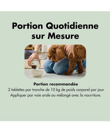 Belly 200 Joint Care Tablets for Dogs Joint & Bones - MSM Glucosamine Chondroitin Yeast - Energy Boost & Collagen - Dog Food Supplement 170g - Made in Germany - Buy Online on GoSupps.com