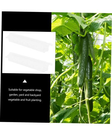 CIYODO 2pcs Melon and Fruit Shaping Mold Vegetables Transparent Cucumber Shaping Mold Cucumber Mold Shaper - Buy Online on GoSupps.com